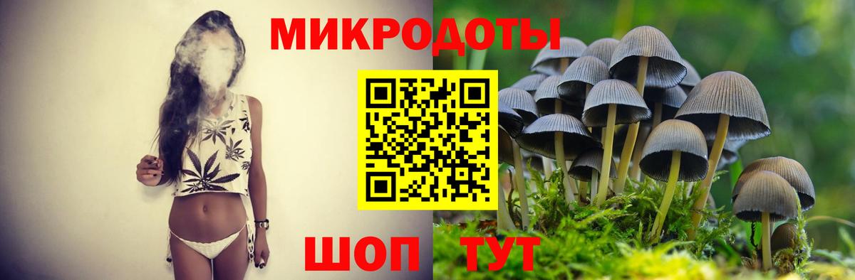 купить наркотики сайты  Вход с VPN  Кимовск  Псилоцибиновые грибы прущие грибы 